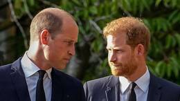 Prinz William und Prinz Harry