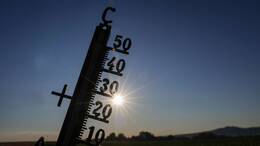 Deutschland erlebt derzeit eine extreme Hitzewelle. Die Temperaturen kratzen sogar an der 40-Grad-Marke. (Symbolbild)