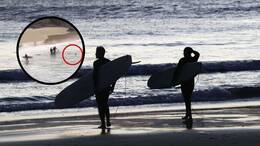 Am Cabarita Beach an der Nordküste von New South Wales in Australien wurde ein 16-Jähriger von einem Hai attackiert. Ein Video zeigt die dramatischen Szenen. (Montage)