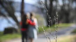 Depression betrifft nicht nur rund fünf Millionen Menschen in Deutschland - sondern auch deren Familie und das soziale Umfeld.