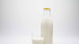 Die Erreger des gefährlichen FSME-Virus können mehrere Tage in unbehandelter Milch überleben.
