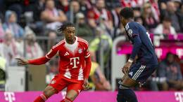 Offensiv-Star Michael Olise (li.) überzeugt im Trikot des FC Bayern.