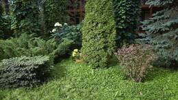 In den 90ern lagen Koniferen bei der Gartengestaltung voll im Trend.