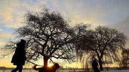 Meteorologen erwarten am Freitag bis zu 15 Zentimeter Neuschnee und kräftigen Wind in Norddeutschland.