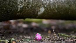 Drei Menschen kamen bei dem Unglück am Ostersonntag ums Leben.