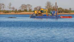 Die Arbeiten im Rahmen eines Rettungsversuchs für den Buckelwal vor Poel gehen weiter.