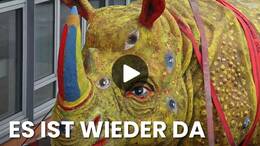 Das Flensburger Augen-Nashorn ist wieder da